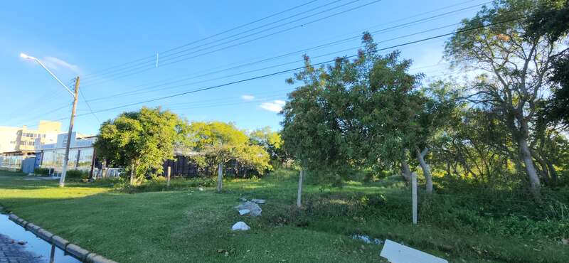 terreno